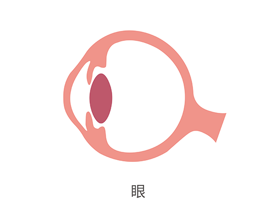 【豪门国际基因检测